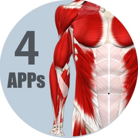 Homepage | Muscle&Motion - Strength Training Anatomy, Muscular Anatomy