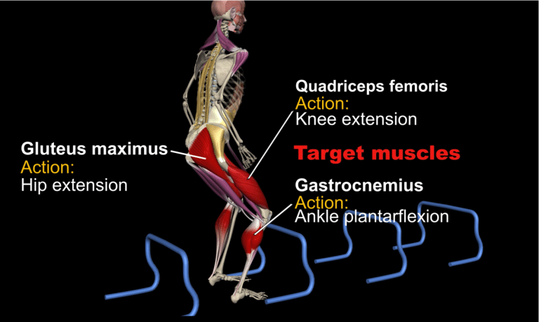 Hurdle Jump & Stick | Concentric and Eccentric nuscle activation