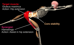 Single-Leg Hip Hinge | Glutes, core & stability (Full anatomical analysis)