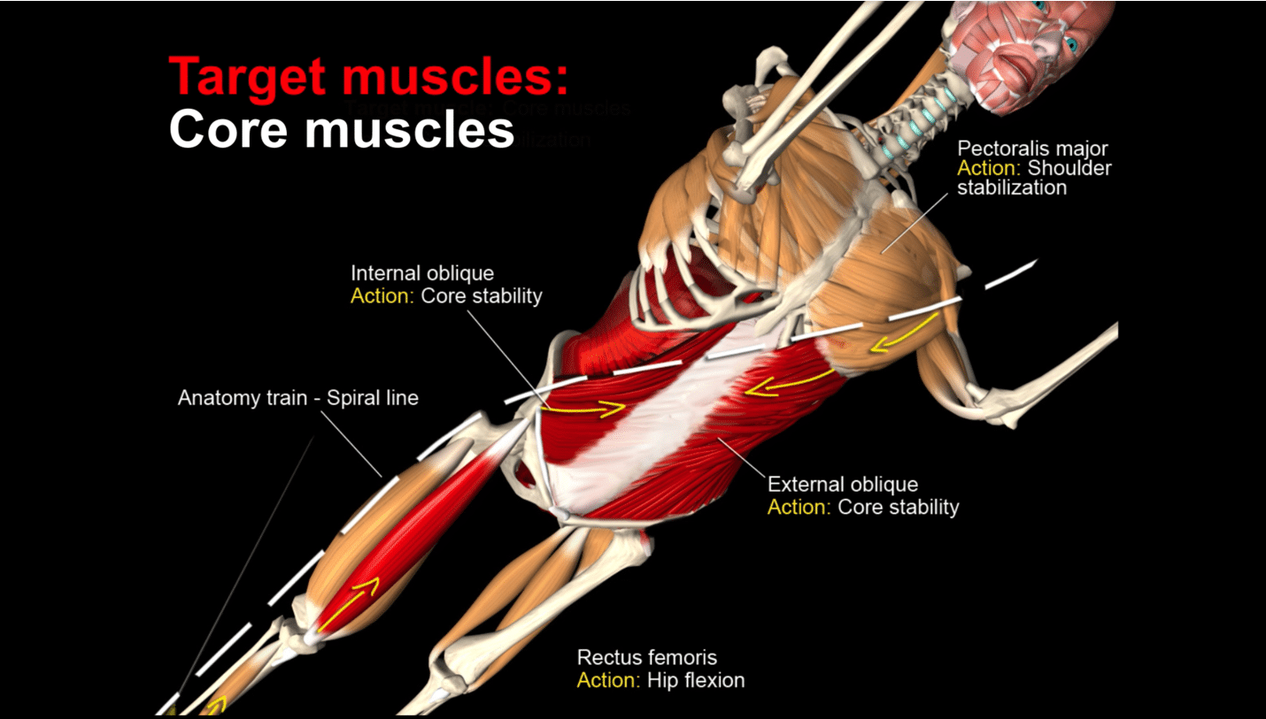 Screenshot at Dec 13 13-16-20 | Muscle&Motion - Strength Training ...