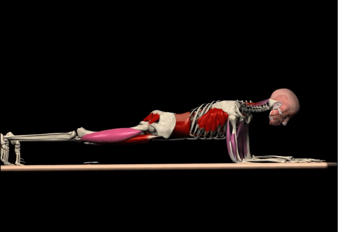 One-leg Ab Plank 