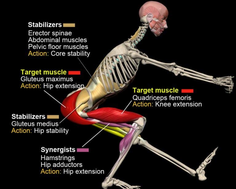 The Anatomy Of The Pistol Squat | How To Get A Pistol Squat, Step By Step