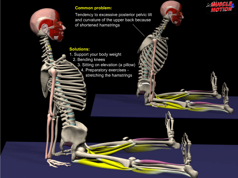 All About The Seated Straddle Strech 