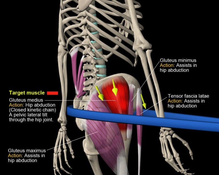 Mastering the Hip Hike Exercise | Muscle and Motion Blog