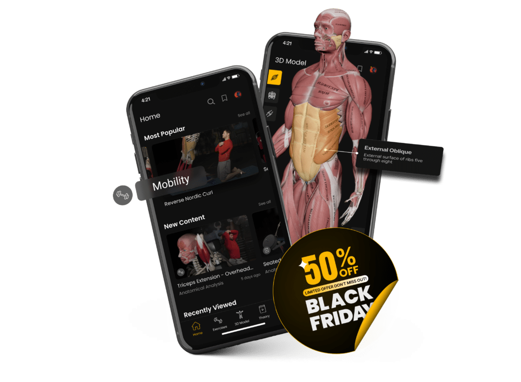 Black Friday 50%