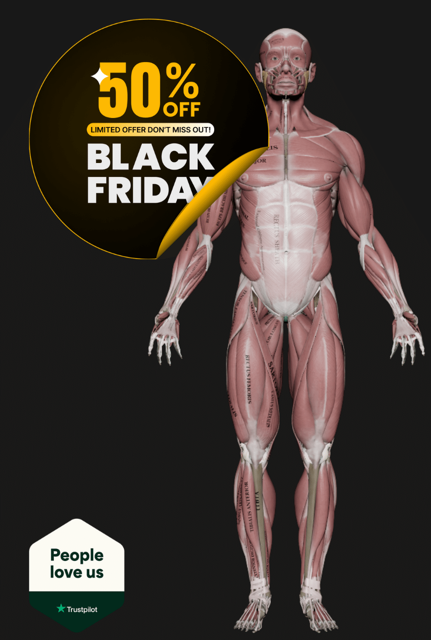 Header Black Friday 50% Muscle and motion