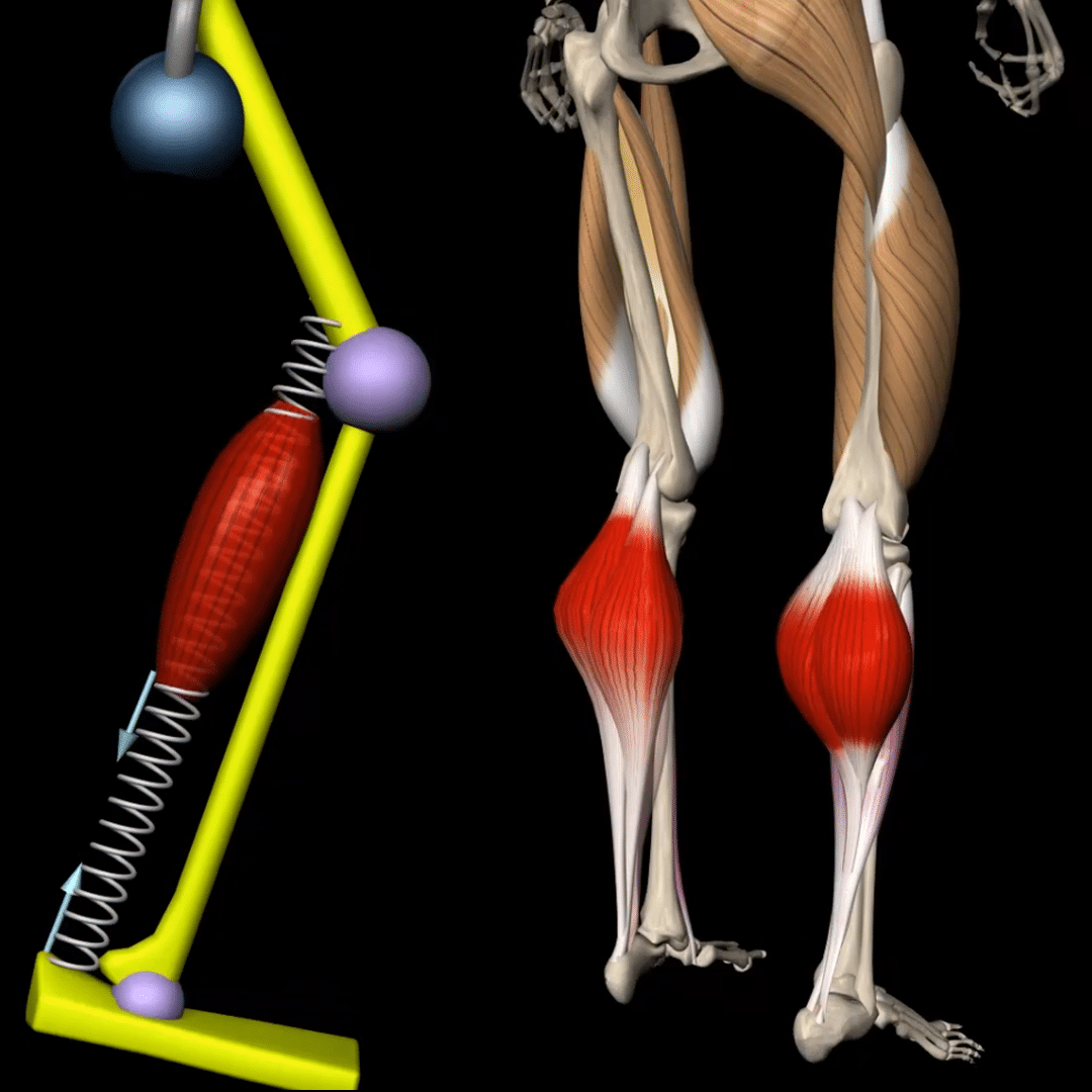 Hurdle Jump and Stick Spring