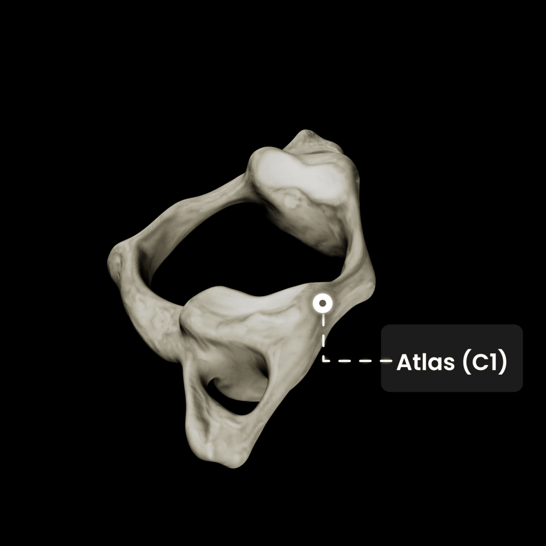 Atlas_C1