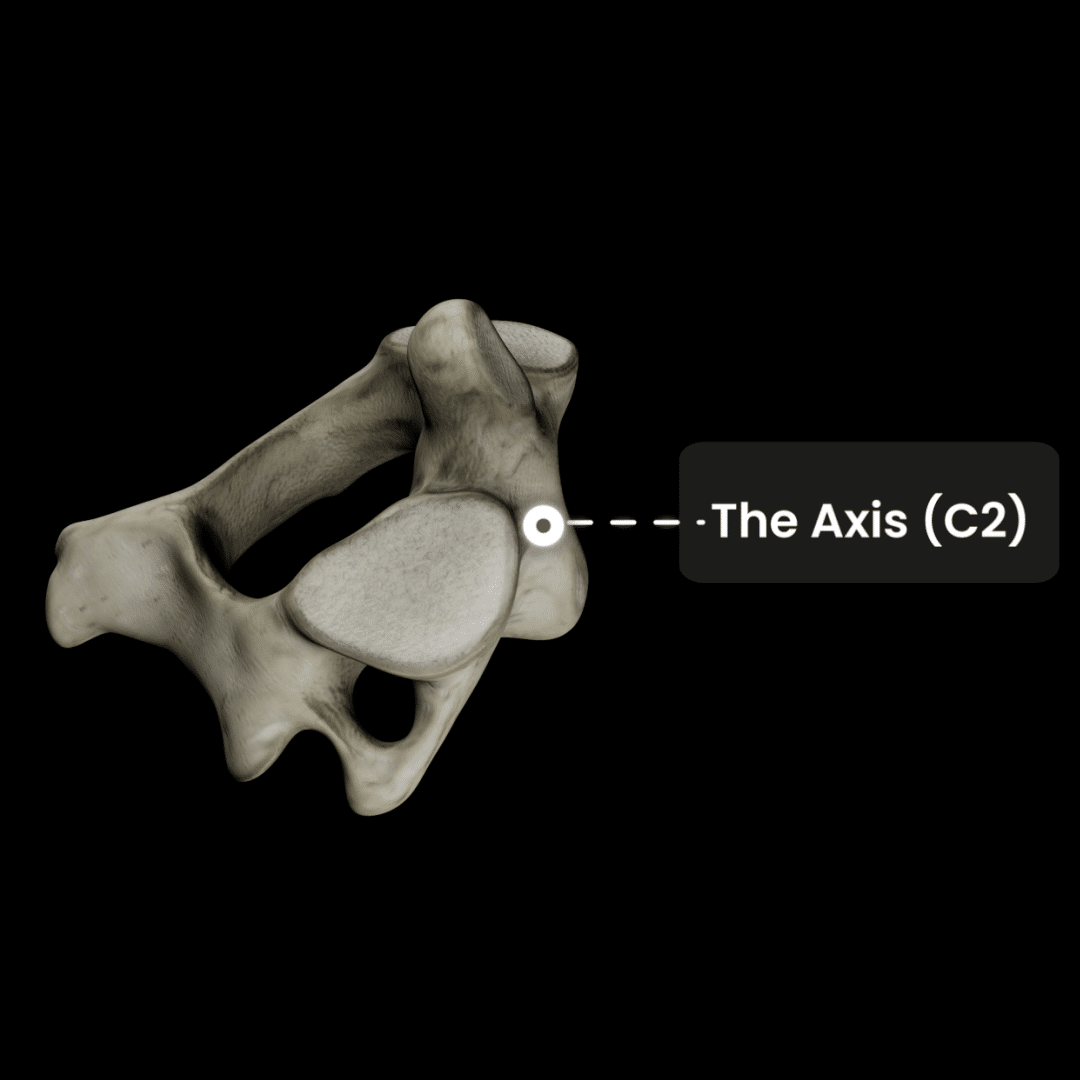 Axis_C2